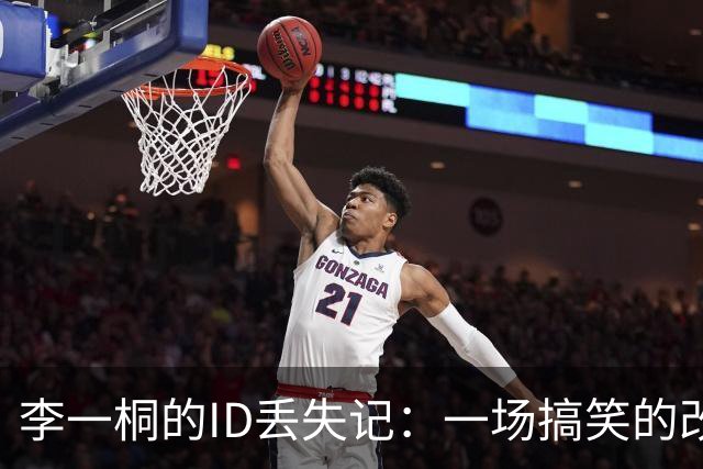 李一桐的ID丢失记：一场搞笑的改名大冒险